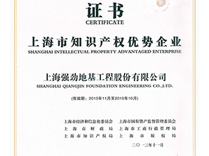 Shanghai intellectual property advantage enterprises