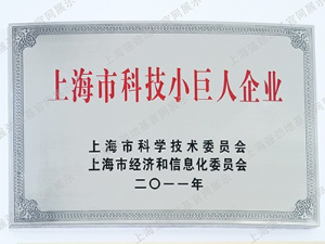 Shanghai Science and Technology Giant Enterprise Certificate