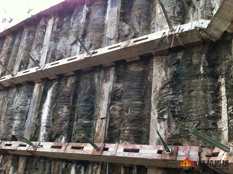 Field close-up of stiffened pile