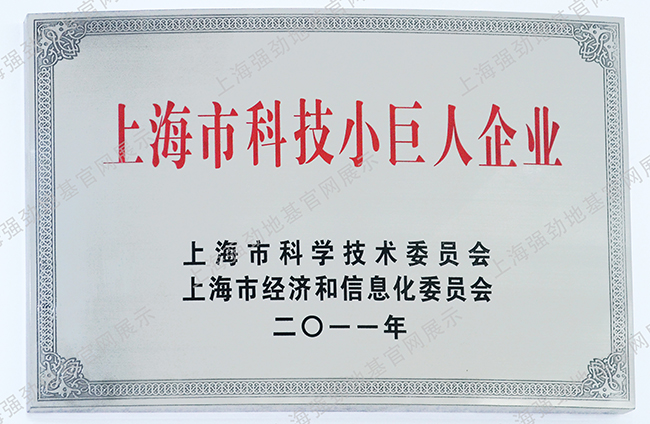 Shanghai Science and Technology Giant Enterprise Certificate
